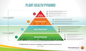 John kempf's plant health pyramid