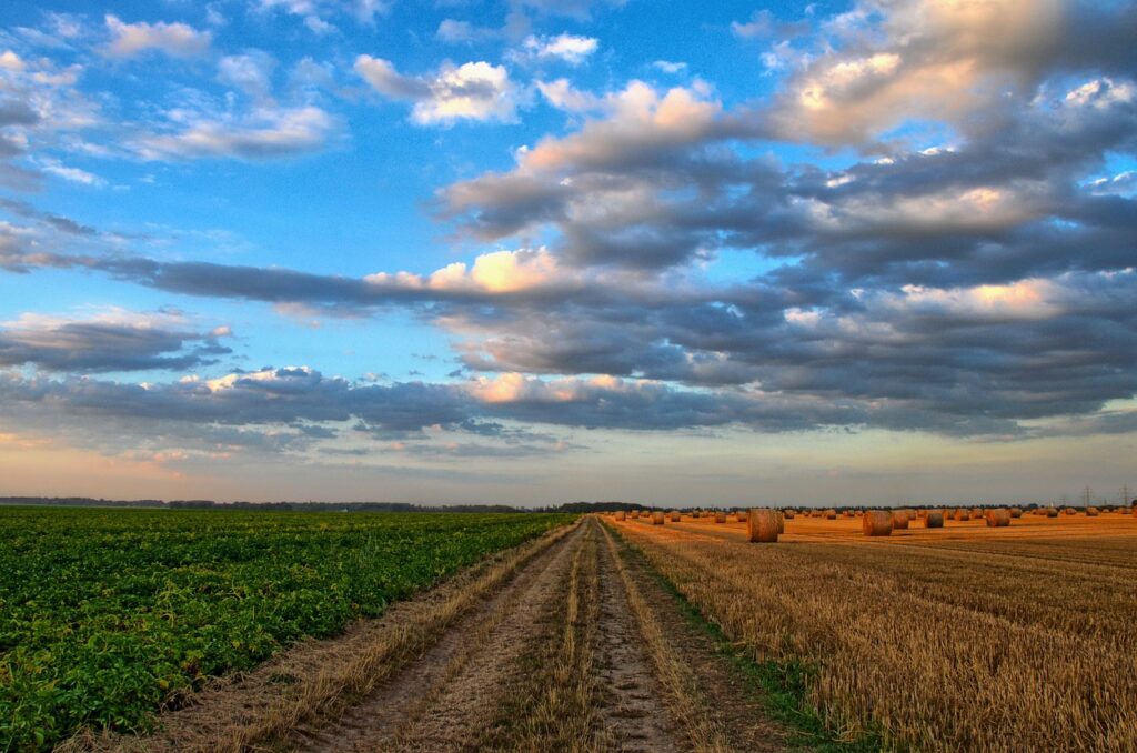 unlocking the secrets of healthy soil graphic